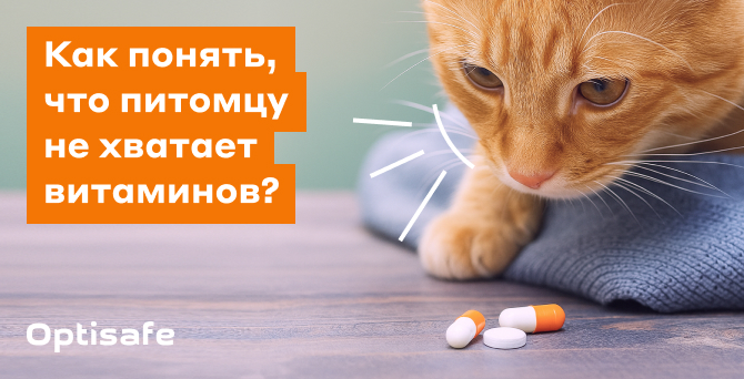 Как понять, что у питомца дефицит витаминов и минералов? 
